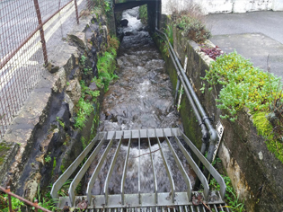 Blocked Drains Callington