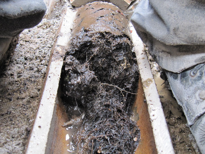 blocked drain clearance Looe