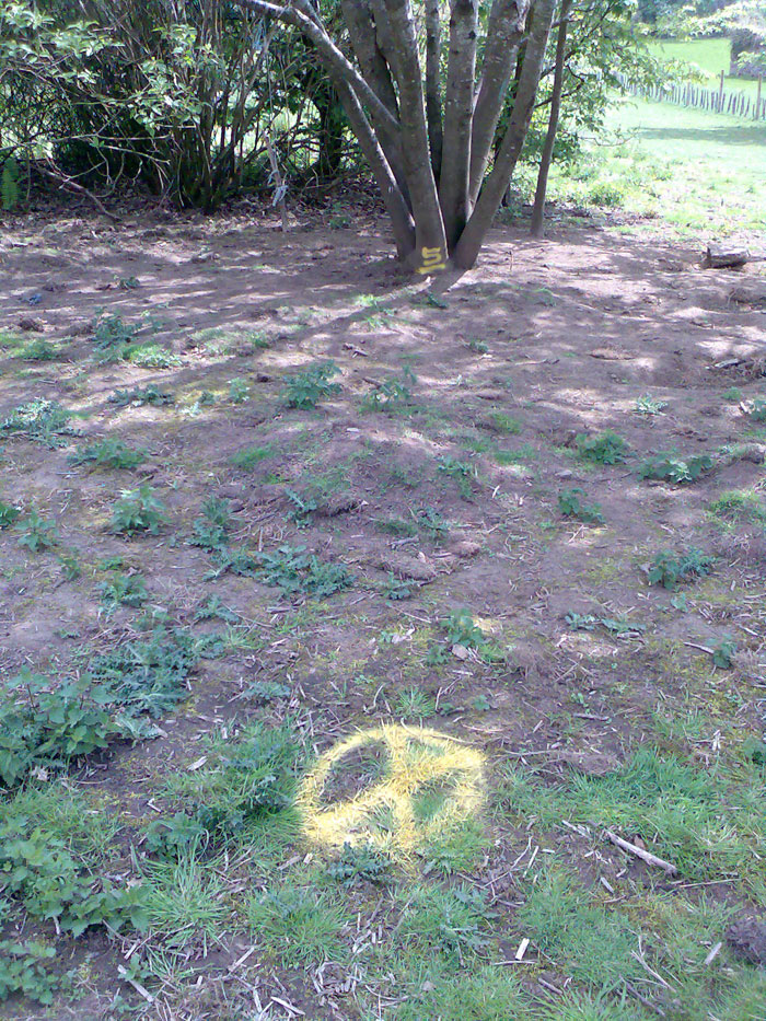 Lostwithiel blocked drain clearance