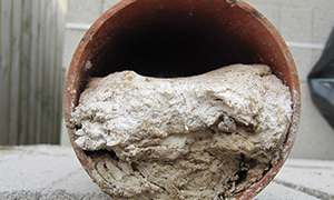 Blocked Drain Clearance Cornwall